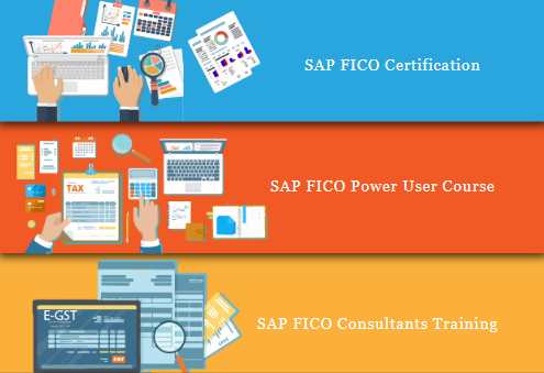 sap-fico-course-in-delhi-karol-bagh-free-accounting-finance-certification-100-job-placement-navratri-special-offer-23-big-0