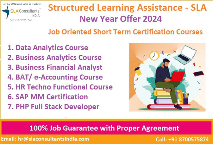 best-accounting-course-in-delhi-gokulpuri-free-onlineoffline-demo-classes-100-job-placement-free-sap-fico-hr-payroll-training-big-0