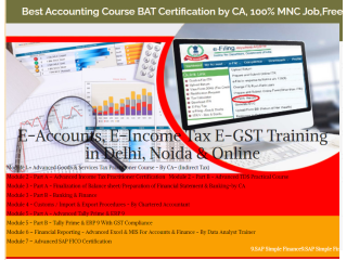 Accounting Course in Delhi, 110011, [GST Update 2024] by SLA. GST and Accounting Institute, Taxation and Tally Prime Institute in Delhi, Noida,