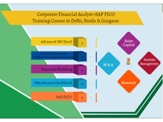 Financial Modelling Training Course in Delhi.110086. Best Online Live Financial Analyst Training in Kanpur by IIT Faculty , [ 100% Job in MNC]